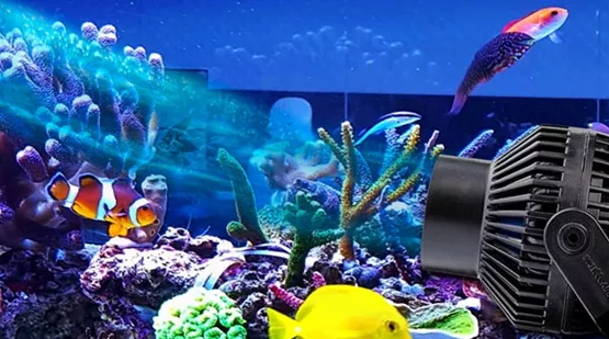 Strömungspumpe Aquarium – Die 16 besten Produkte im Vergleich -  Haustierratgeber Ratgeber