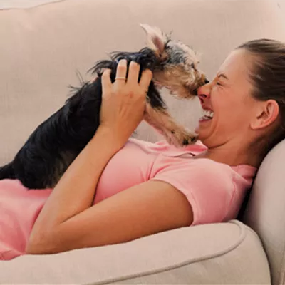 Hund leckt Gesicht: Diese wichtige Bedeutung hat das Verhalten
