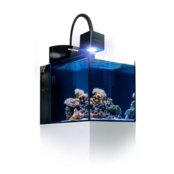 aquarium-led-beleuchtung-02.jpg