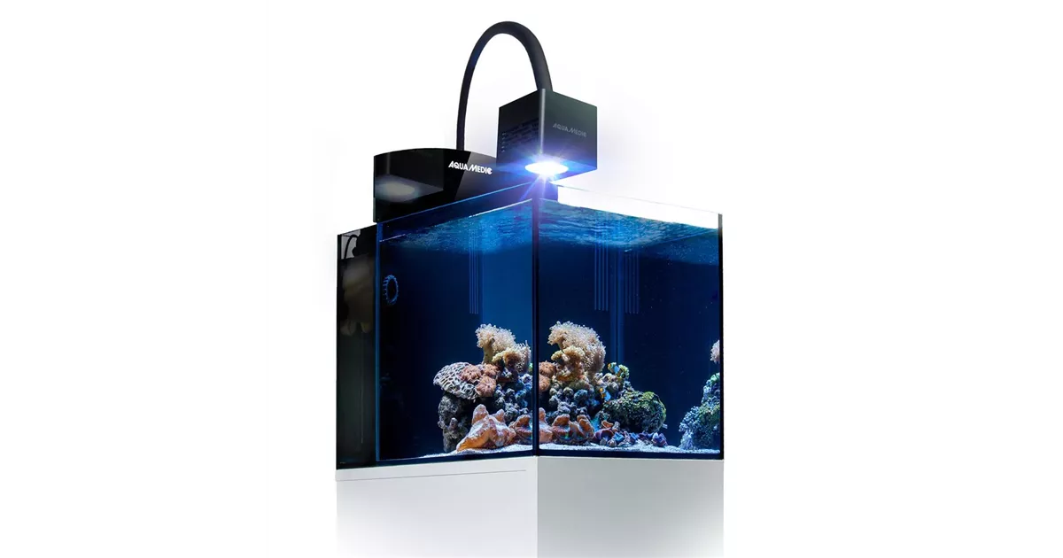 Meerwasser offers Aquarium Qube mit Gestell