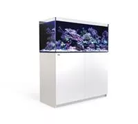 Red Sea REEFER G2 - Meerwasseraquarium