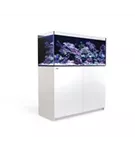 Red Sea REEFER G2 - Meerwasseraquarium