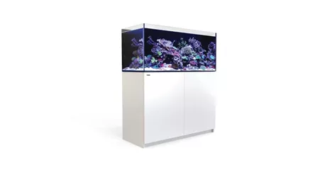 Red Sea REEFER G2 - Meerwasseraquarium