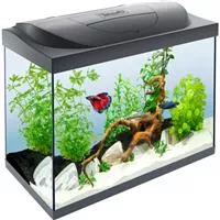 Tetra Starter LED 80 L Süßwasseraquarium