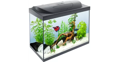 Tetra Starter LED 80 L Süßwasseraquarium