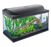 Tetra Starter Line LED 105 Liter Süßwasseraquarium