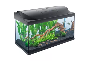 Tetra Starter Line LED 105 Liter Süßwasseraquarium