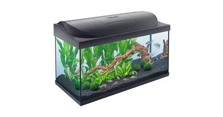 Tetra Starter Line LED 105 Liter Süßwasseraquarium