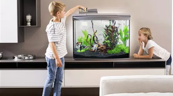 aquatop-aquaristik-kinder_füttern_fische_im_aquarium.jpg