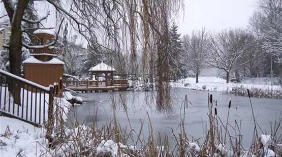 aquatop-gartenteich-teich_im_winter.jpg