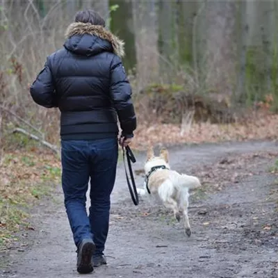 Giftköderschutz für Hunde