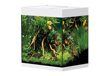 Oase StyleLine 85 Süßwasseraquarium