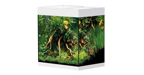 Oase StyleLine 85 Süßwasseraquarium