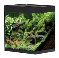 Oase StyleLine 125 Süßwasseraquarium