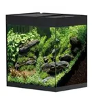 Oase StyleLine 125 Süßwasseraquarium