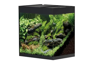 Oase StyleLine 125 Süßwasseraquarium