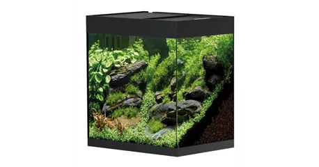 Oase StyleLine 125 Süßwasseraquarium