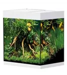 Oase StyleLine 125 Süßwasseraquarium