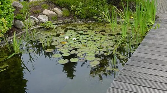 Gartenteich optimal belüften mit passender Teichtechnik | Aquatop