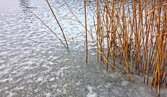 Wenn die Teichdecke zugefroren ist | Aquatop - Zoofachmarkt für den Gartenteich (wenn-die-teichdecke-zugefroren-ist-aquatop-zoofachmarkt-gartenteich.jpg)