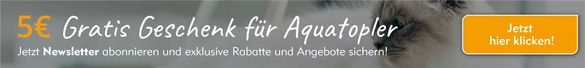 5€ Gratis Geschenk für Aquatopler | Aquatop - Zoofachmarkt für Haustiere (allgemein-newsletter-abonnieren-aquatop-zoofachmarkt-haustierbedarf.jpg)