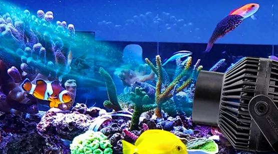 Strömungspumpe für Dein Meerwasseraquarium | Aquatop (Stroemungspumpe.jpg)