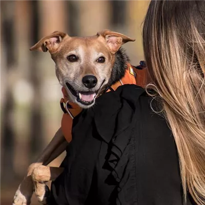 Mit dem Hund sicher wenn es kalt ist