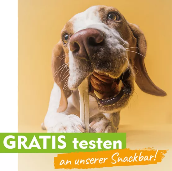 Hund-Snackeria_Heute-schon-gesnackt_555x555px.jpg