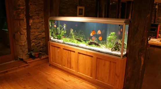 standort-fuer-aquarium.jpg