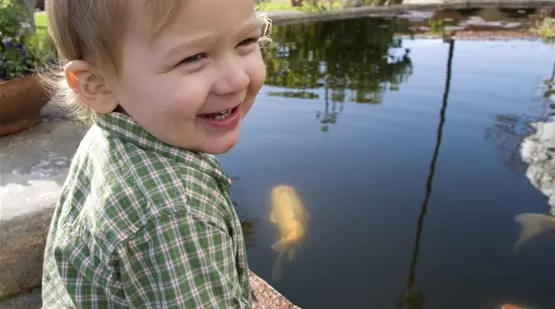 Teich-Kindersicher.jpg