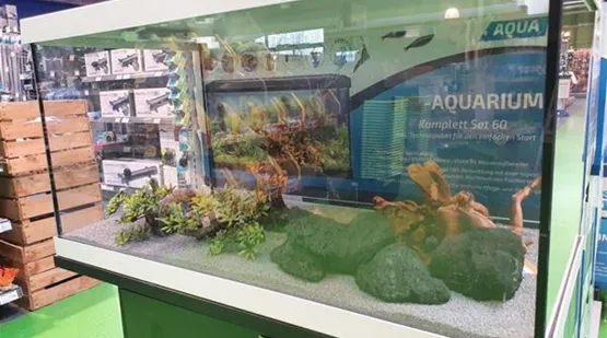 quarantaene-aquarium.JPEG