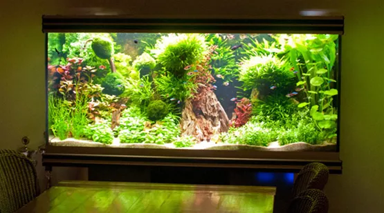 JBL-aquariumpflege-01.jpg