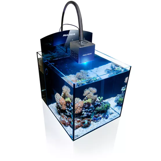 das-nano-aquarium-02.jpg