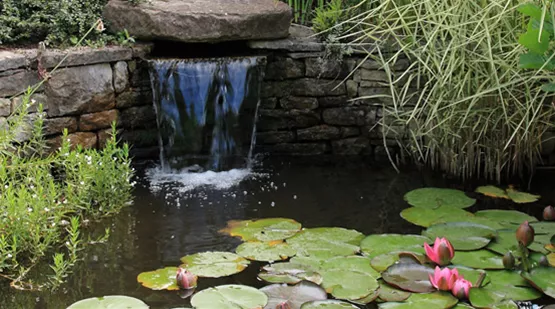 wasserspiele-fuer-den-gartenteich_01.jpg