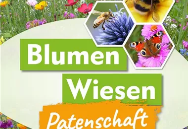 Patenschaft für Wildblumenwiese