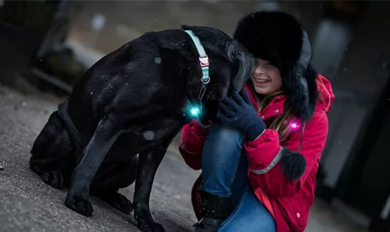 gassi-gehen-mit-hund-im-dunkeln-03.jpg