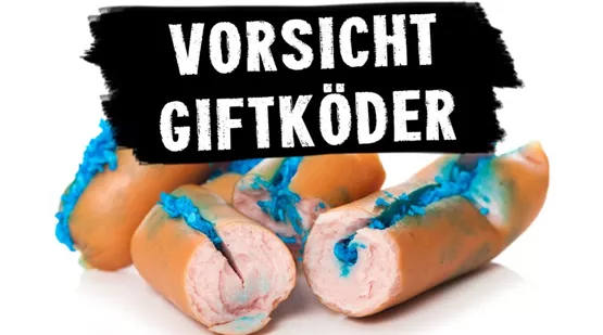 giftkoeder-01.jpeg