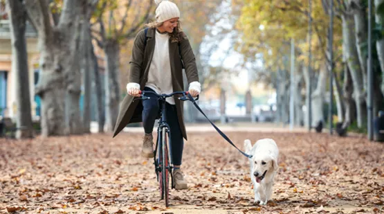 fahrradfahren-mit-hund-01.jpg