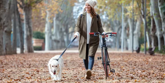 fahrradfahren-mit-hund-02.jpg