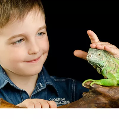 Reptilien und Kinder