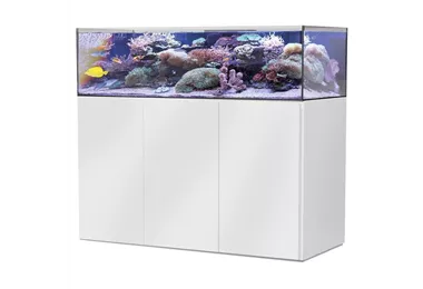 Aqua Medic Armatus Lagoon 400 Meerwasser-Komplettaquarium