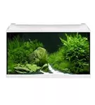 EHEIM aquaproLED 126 - Komplett-Aquarium-Sets