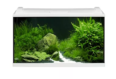 EHEIM aquaproLED 126 - Komplett-Aquarium-Sets