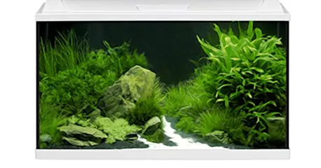 EHEIM aquaproLED 126 - Komplett-Aquarium-Sets