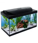 Tetra Starter Line LED Aquarium 54L