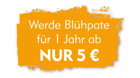 Blumenwiesen-Patenschaft_5qm-ab-5Euro_LR.png