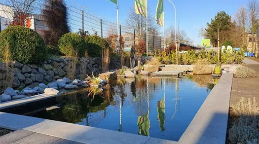 Gartenteich im Außenbereich des Aquatop Zoofachmarkts in Aachen