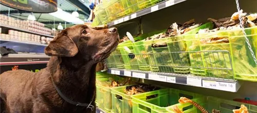 Hunde-Snackeria