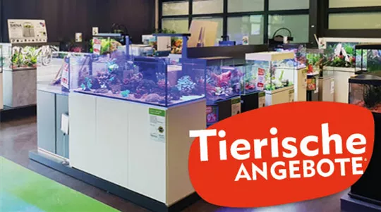 Tag-des-Aquariums-Angebote.jpg