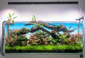 Aquaowhner_bei_Aquatop_Aquascaping_Aquarium.jpg